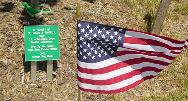 A tree planted in memory of Maj. Dr. Rocco J. Tortella