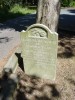 William A. Coles son of Samuel A. & Phebe G Coles