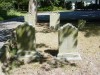 Alexander and Elizabeth WILLIAMSON