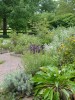 Another view of the lovely herb garden